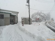 新潟工場雪景色１２月６日.jpg