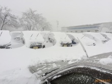 新潟大雪 141217-2.jpg